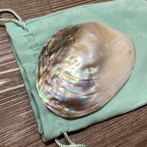 Large Shell Belt Buckle
